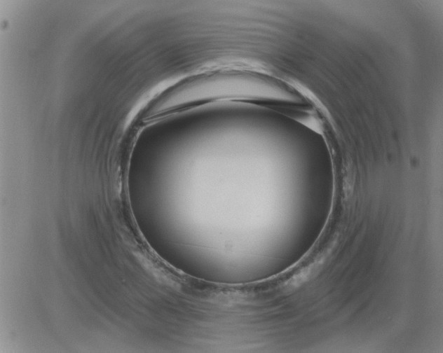 X0000083990973200703021935