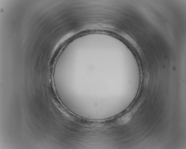 X0000083990974200703021935