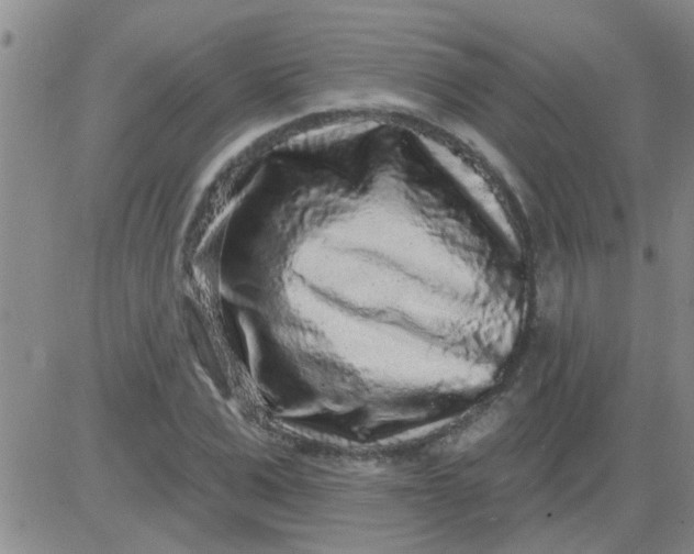 X0000083990975200703021935