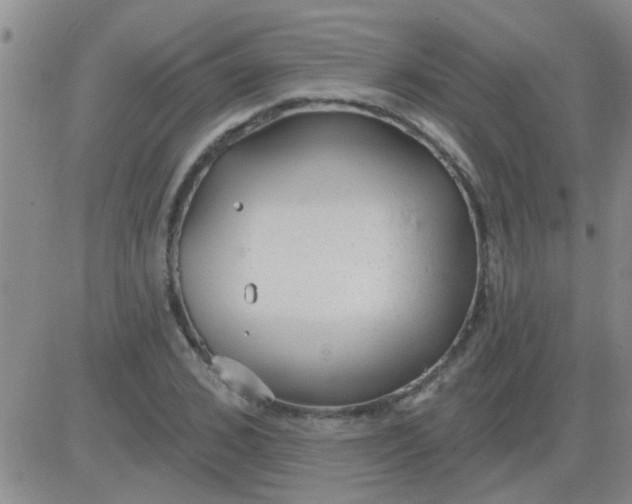 X0000083990976200703021935