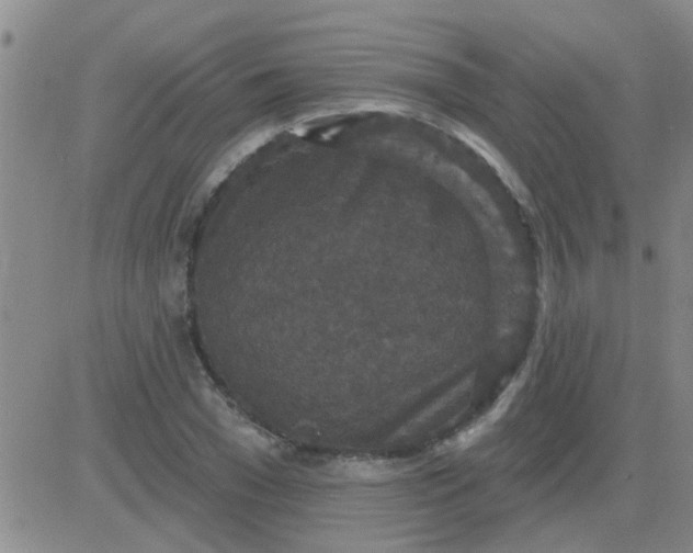 X0000083990977200703021935