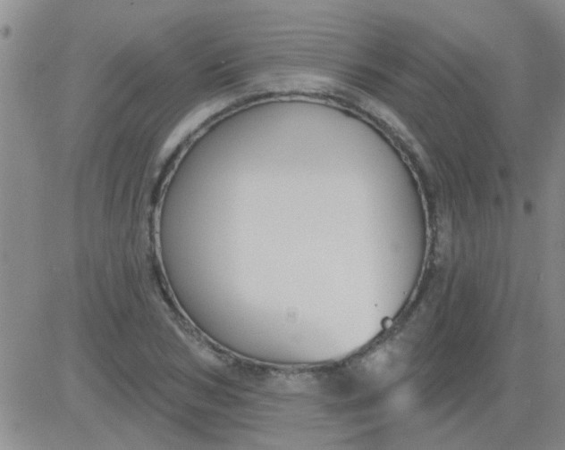 X0000083990978200703021935