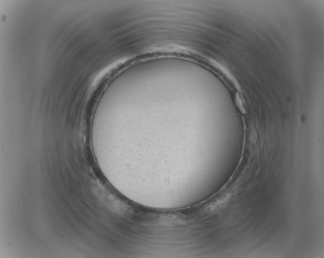 X0000083990979200703021935