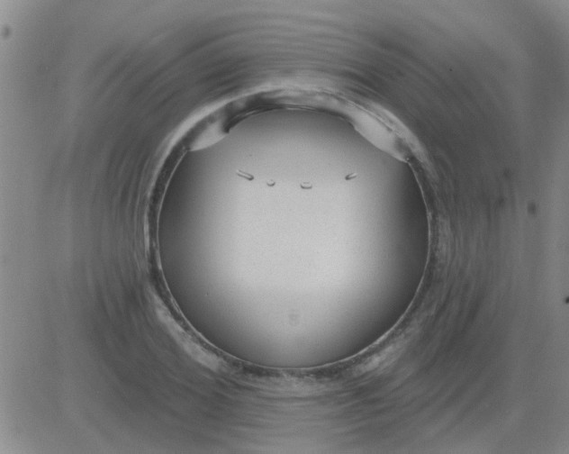 X0000083990980200703021935