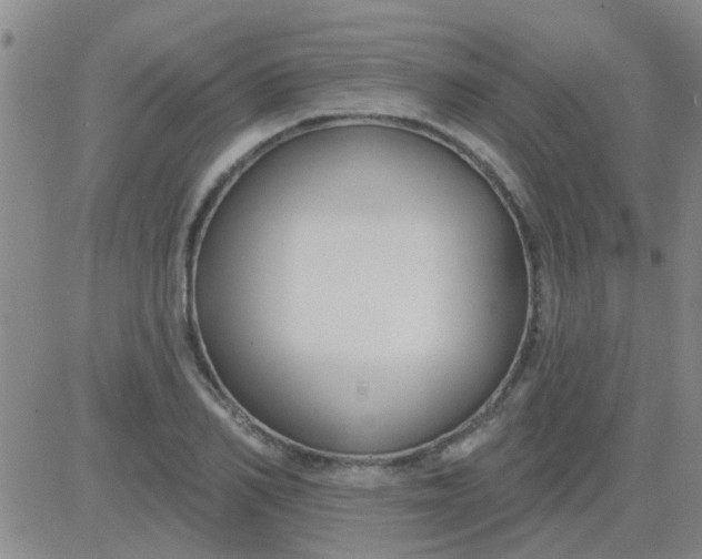 X0000083990982200703021935