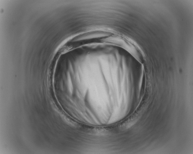 X0000083990983200703021935