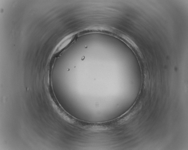 X0000083990984200703021935