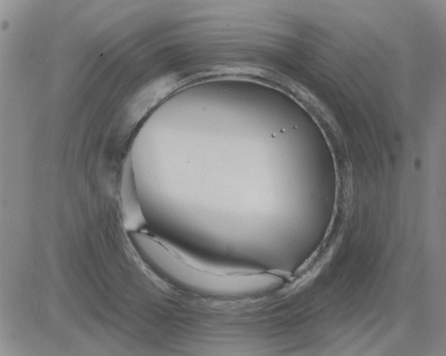 X0000083990985200703021935