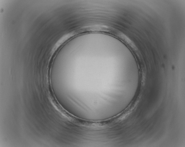 X0000083990986200703021935