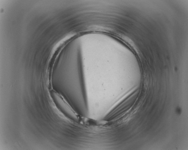 X0000083990987200703021935