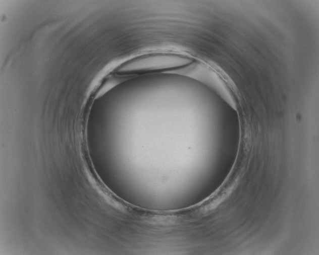 X0000083990989200703021935