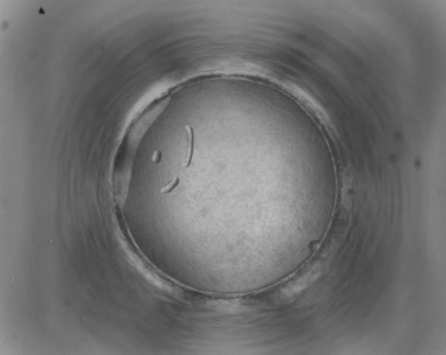 X0000083990990200703021935