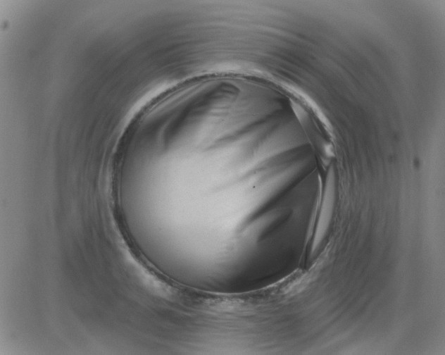 X0000083990991200703021935