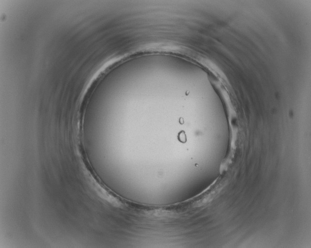 X0000083990992200703021935