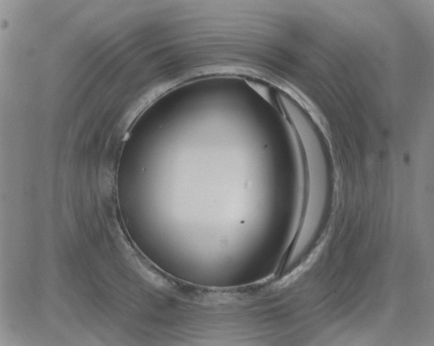 X0000083990993200703021935