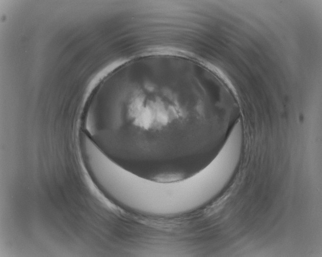 X0000083990995200703021935