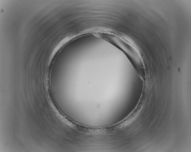 X0000083990997200703021935