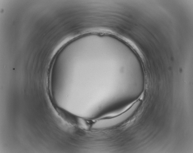 X0000083990999200703021935