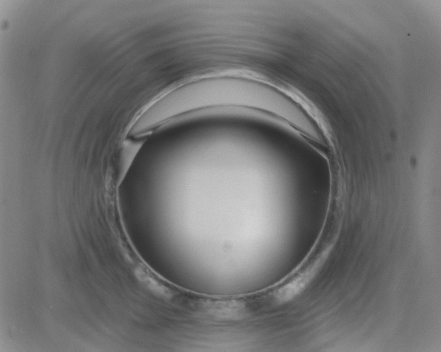 X0000083991001200703021935