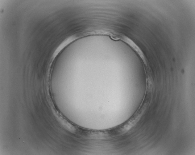 X0000083991002200703021934