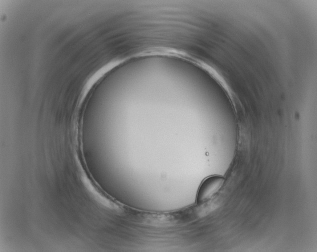 X0000083991003200703021934