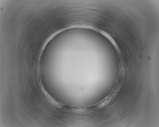 X0000083991004200703021934