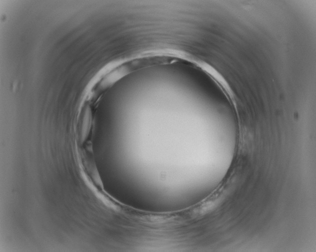 X0000083991005200703021934