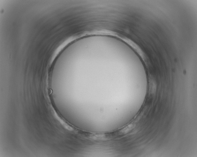 X0000083991006200703021934