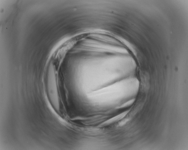 X0000083991007200703021934