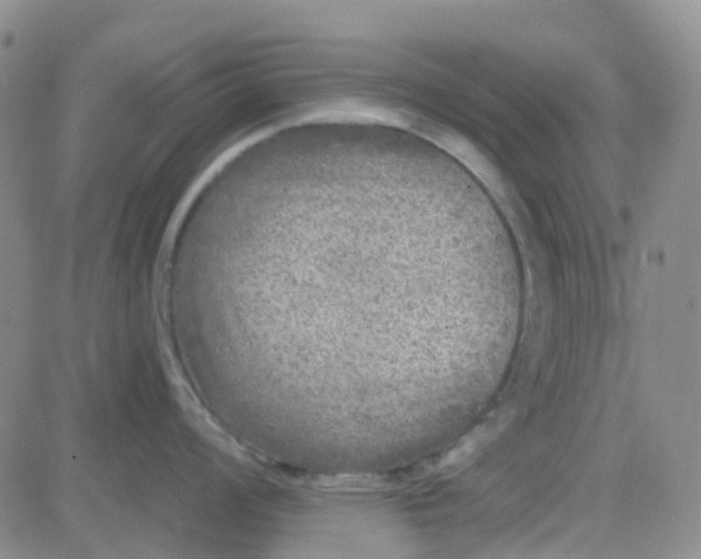 X0000083991008200703021934