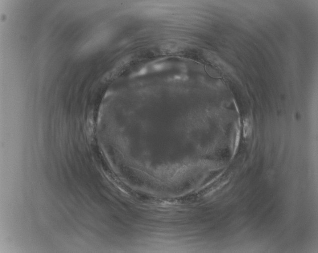 X0000083991011200703021934