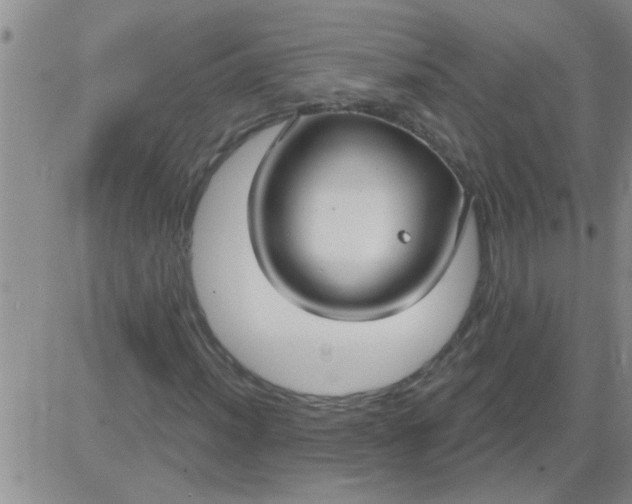 X0000083991012200703021934