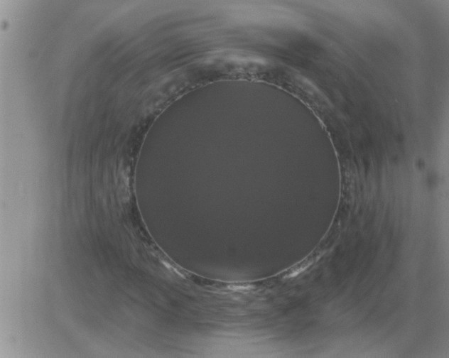 X0000083991013200703021934