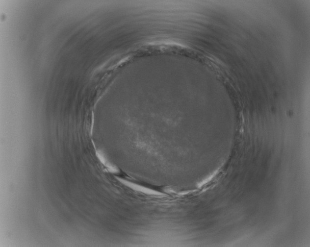 X0000083991014200703021934