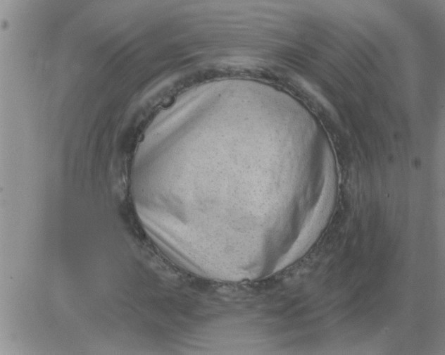 X0000083991015200703021934