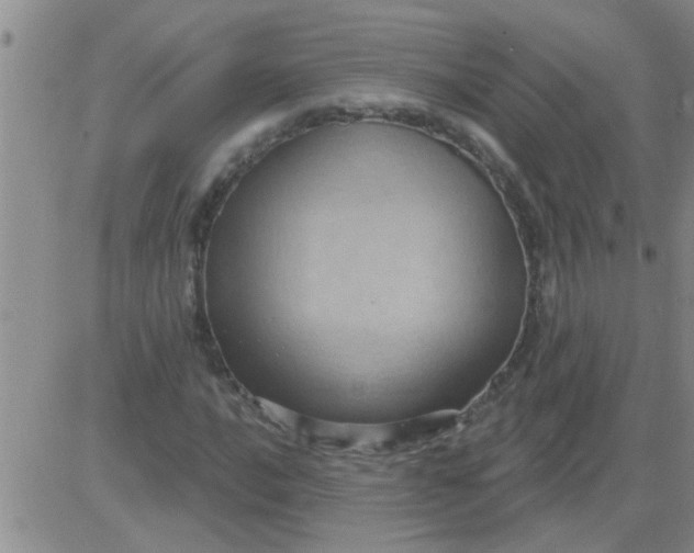 X0000083991016200703021934