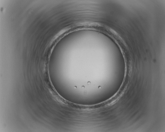 X0000083991017200703021934