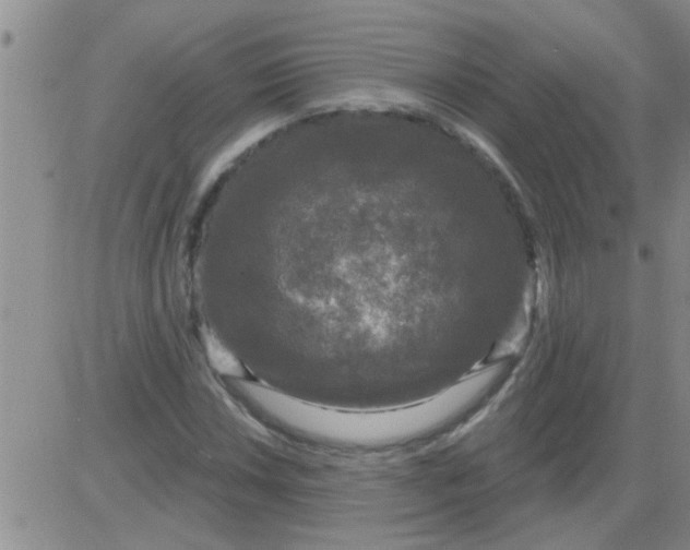 X0000083991018200703021934