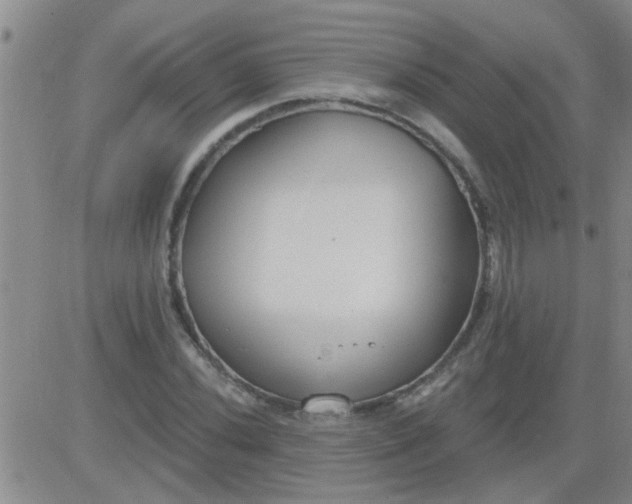 X0000083991020200703021934