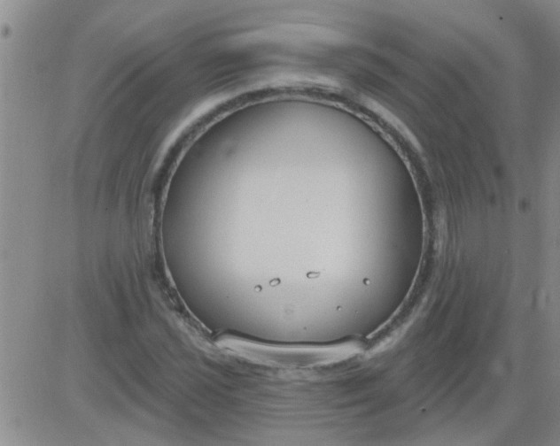 X0000083991021200703021934