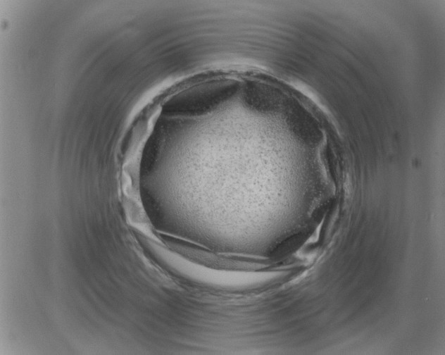 X0000083991022200703021934