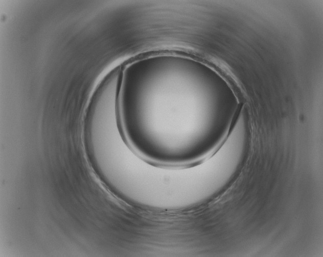 X0000083991024200703021934