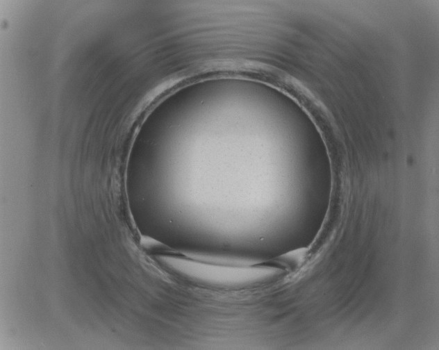 X0000083991025200703021934