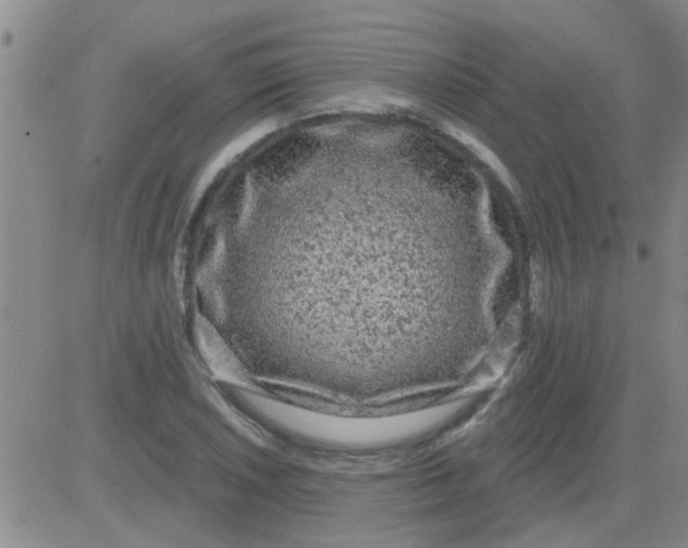 X0000083991026200703021934