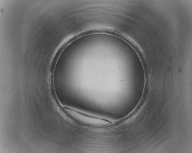 X0000083991029200703021934