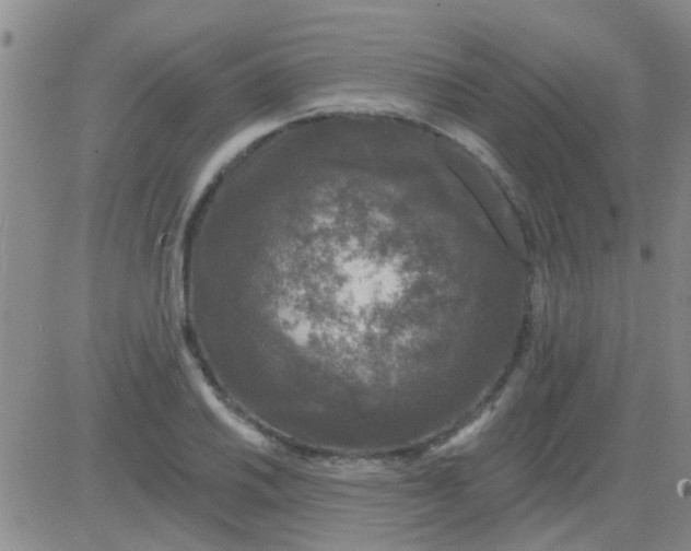 X0000083991030200703021934