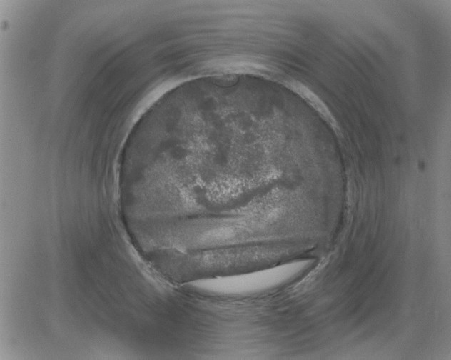 X0000083991031200703021934