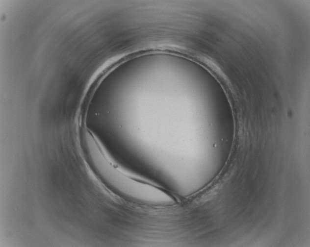 X0000083991032200703021934