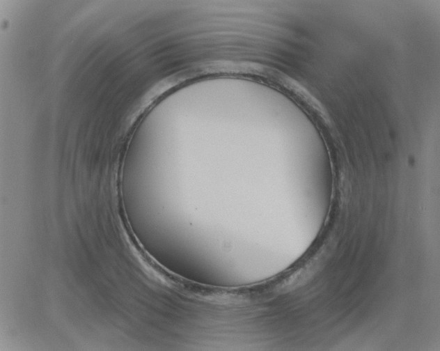 X0000083991033200703021934