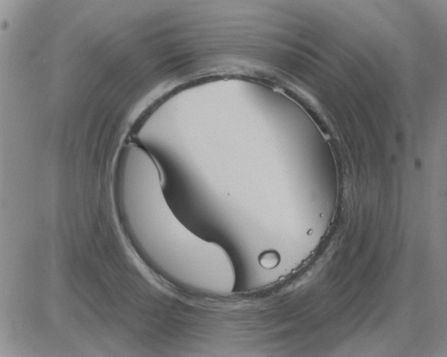 X0000083991034200703021934